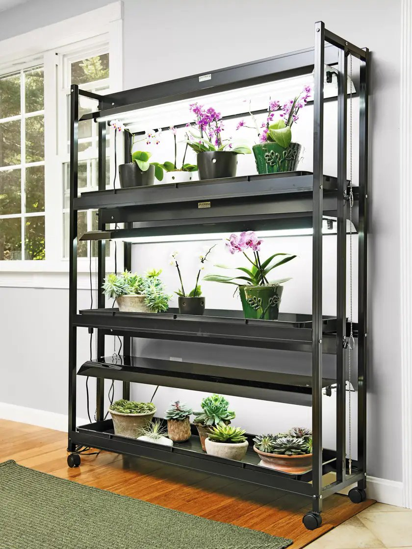 Wholesale High-Intensity LED Grow System Provides More Plant-Boosting Light