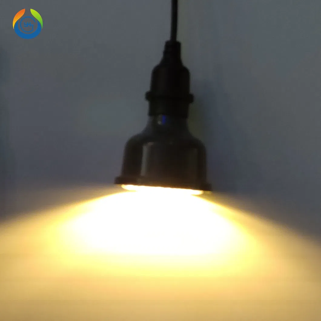 Poultry Light Detailed 4