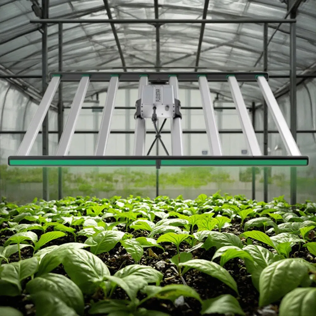 Best Samsung Lm301h Evo Grow Lights 1000W Full Spectrum 800W Lamp LED Grow Light for Indoor Plants