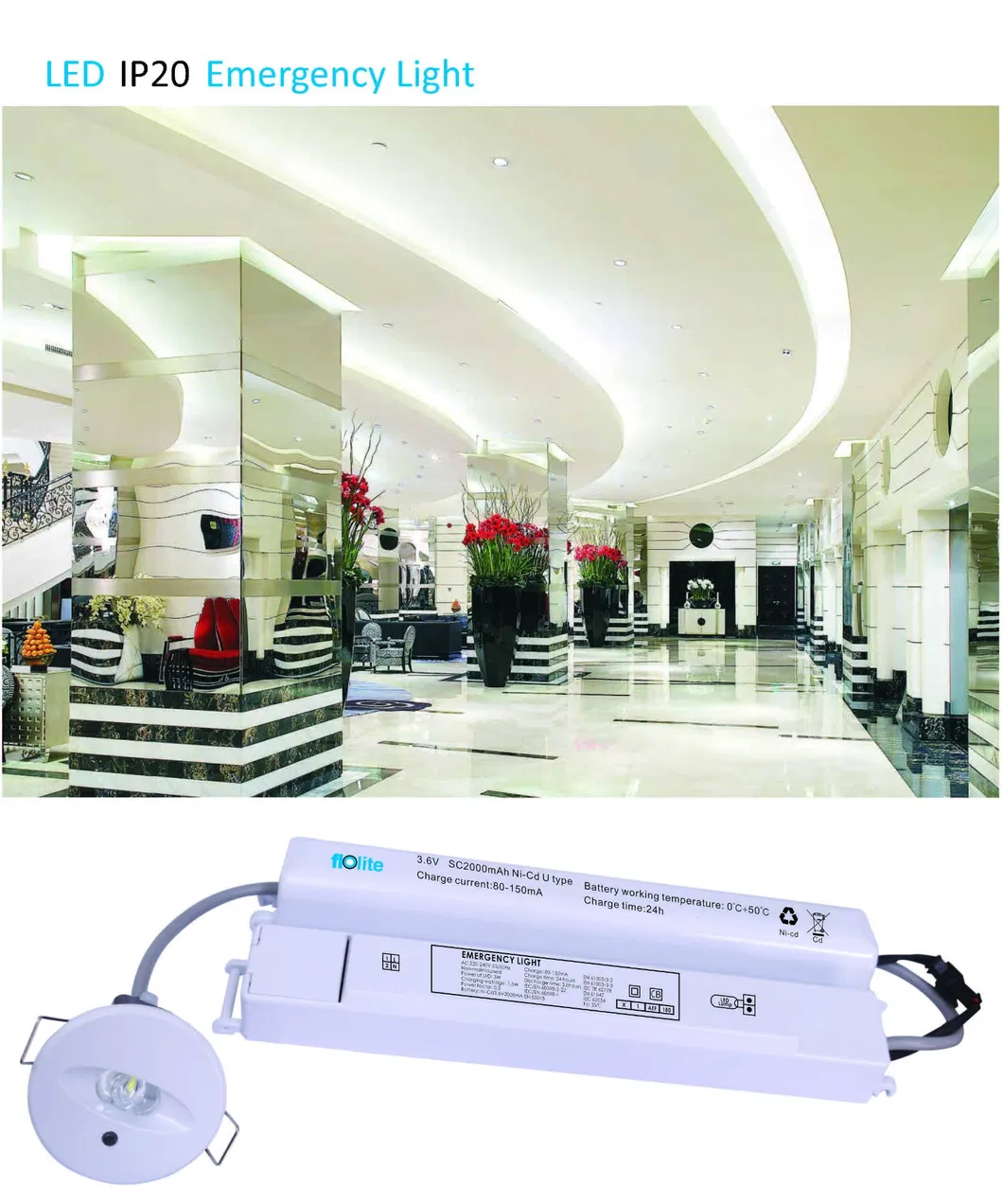 LED Backup Light