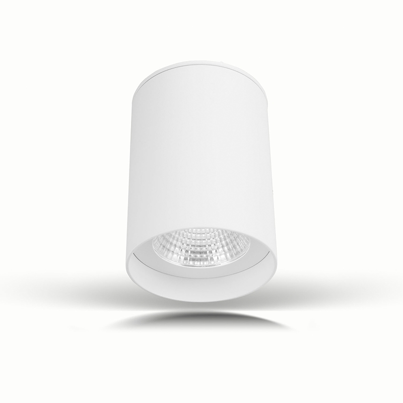 IP65 Surface Mounted LED LED Downlight