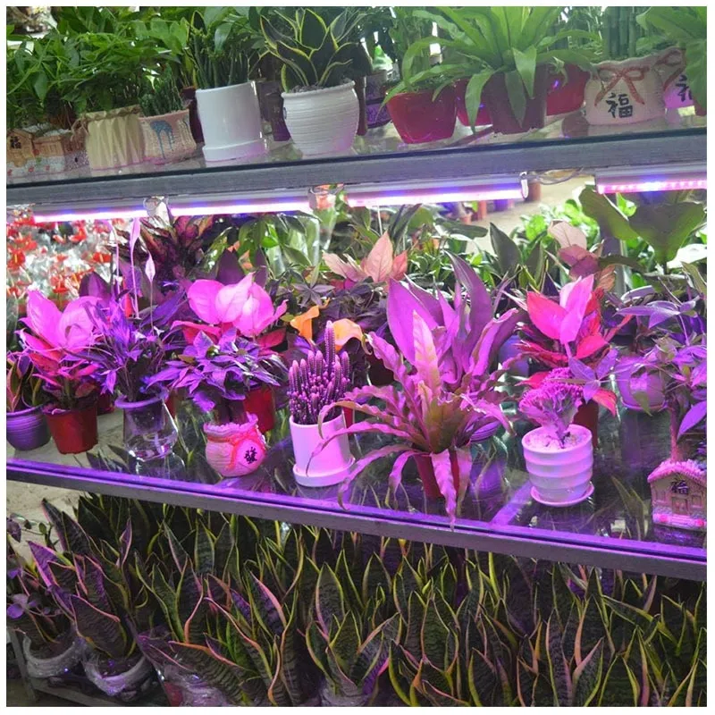 Full Spectrum T8 T5 Inoor Tube Linkable Garden Ceiling Light Purple Red Blue UV Ceiling Lamp PC on off Switch Plant LED Grow Light