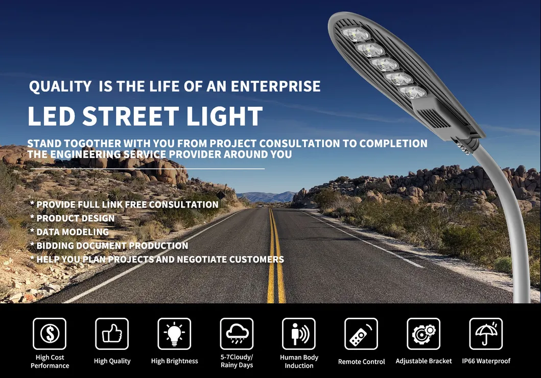 Solar LED Street Light View 1
