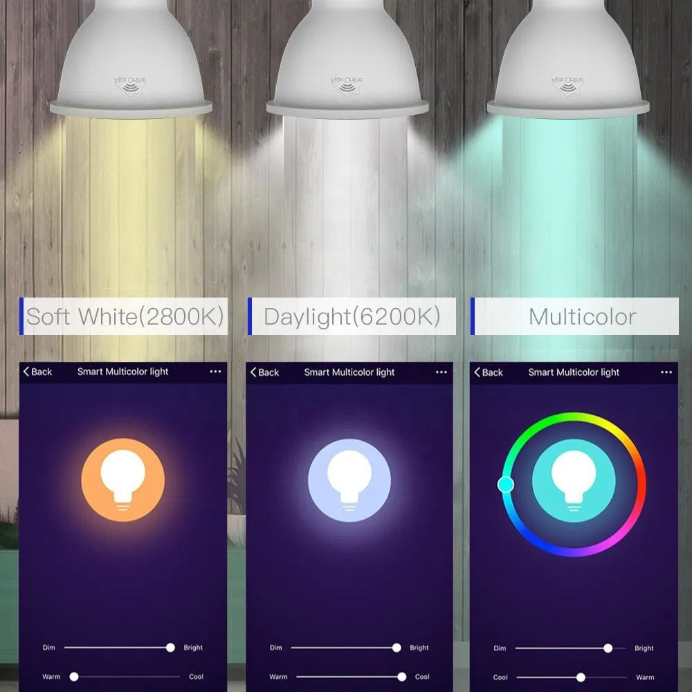 LED Bulb Display 3
