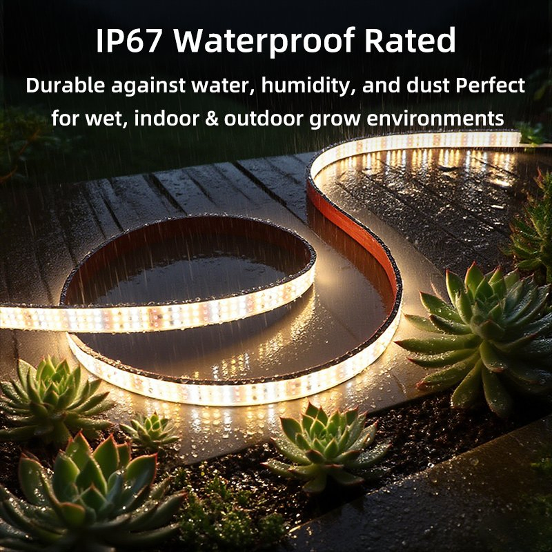 ODM Dimmable full Spectrum LED Grow Light Strip Waterproof IP67 110/220V 252 360LEDs/m for Indoor &amp; Outdoor Under Canopy, Vertical Farming Plant Growing