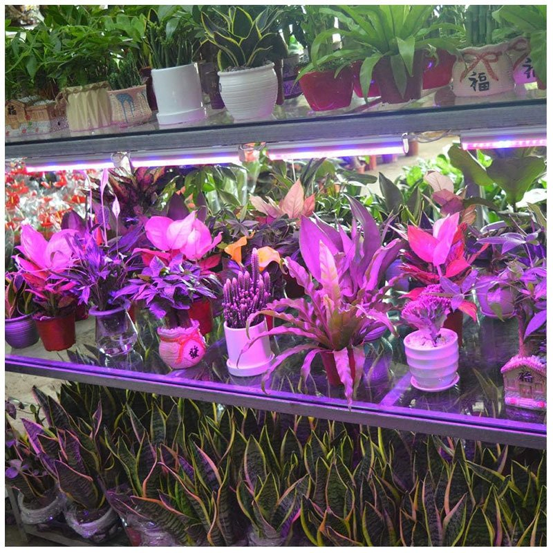 Full Spectrum T8 T5 Inoor Tube Linkable Garden Ceiling Light Purple Red Blue UV Ceiling Lamp PC on off Switch Plant LED Grow Light