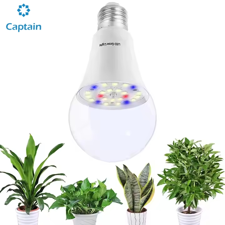 High-Efficiency LED Grow Light for Pitaya Plant Growth