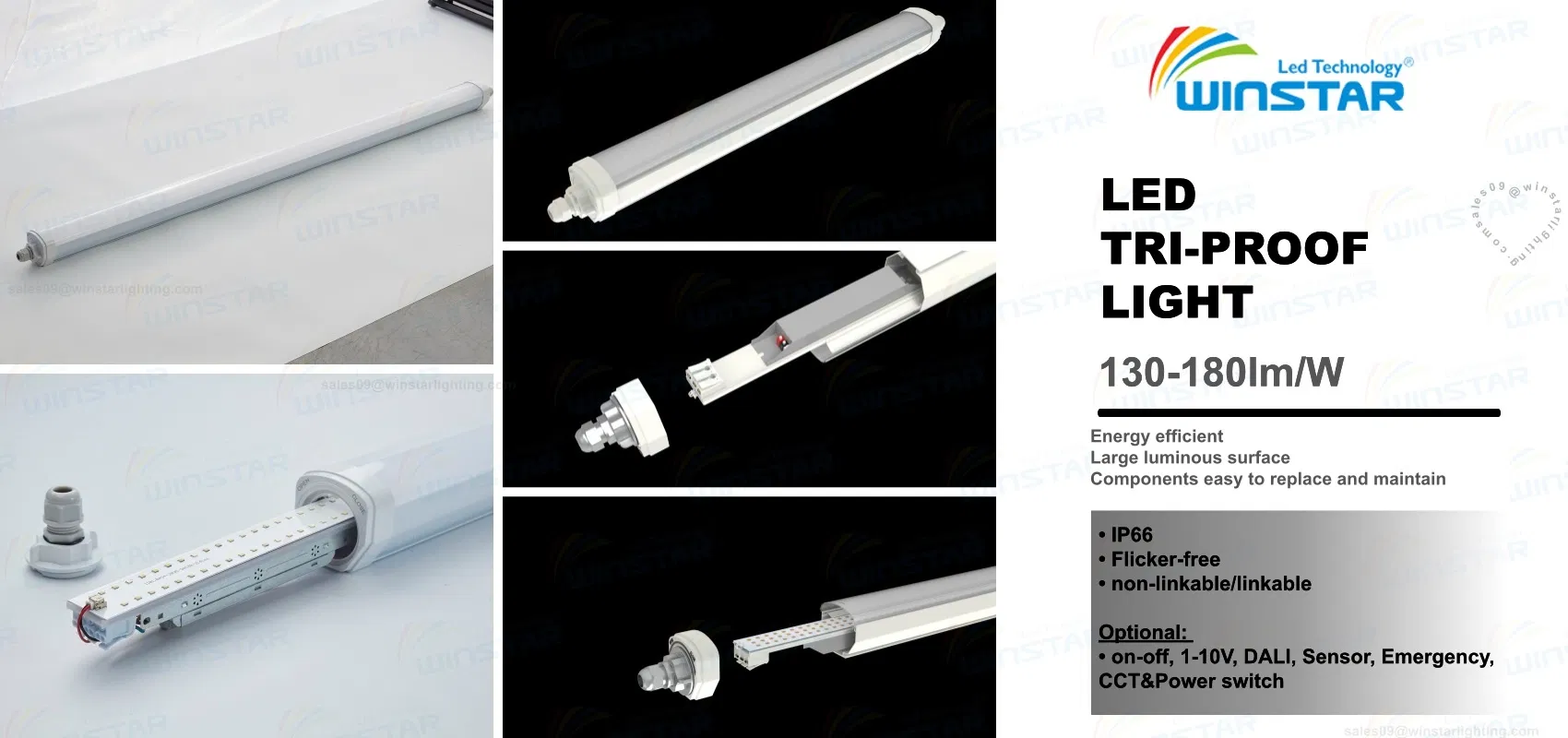 LED Tri-Proof Light
