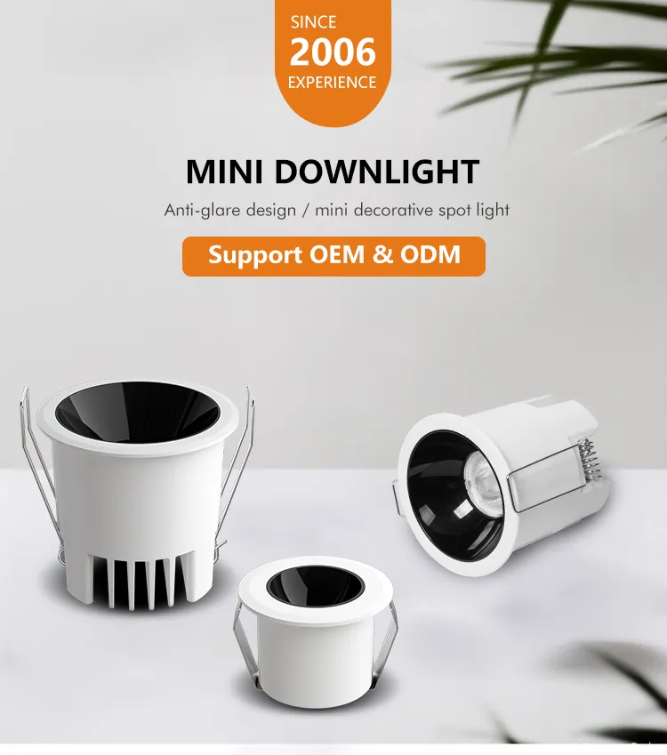 LED Downlight View 3