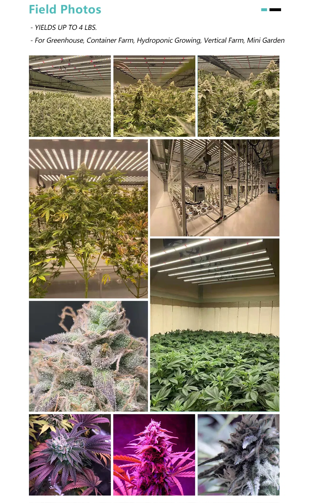 Smart Control Dimmable LED Grow Light