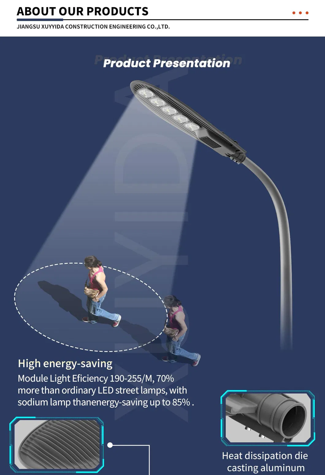Solar LED Street Light View 2