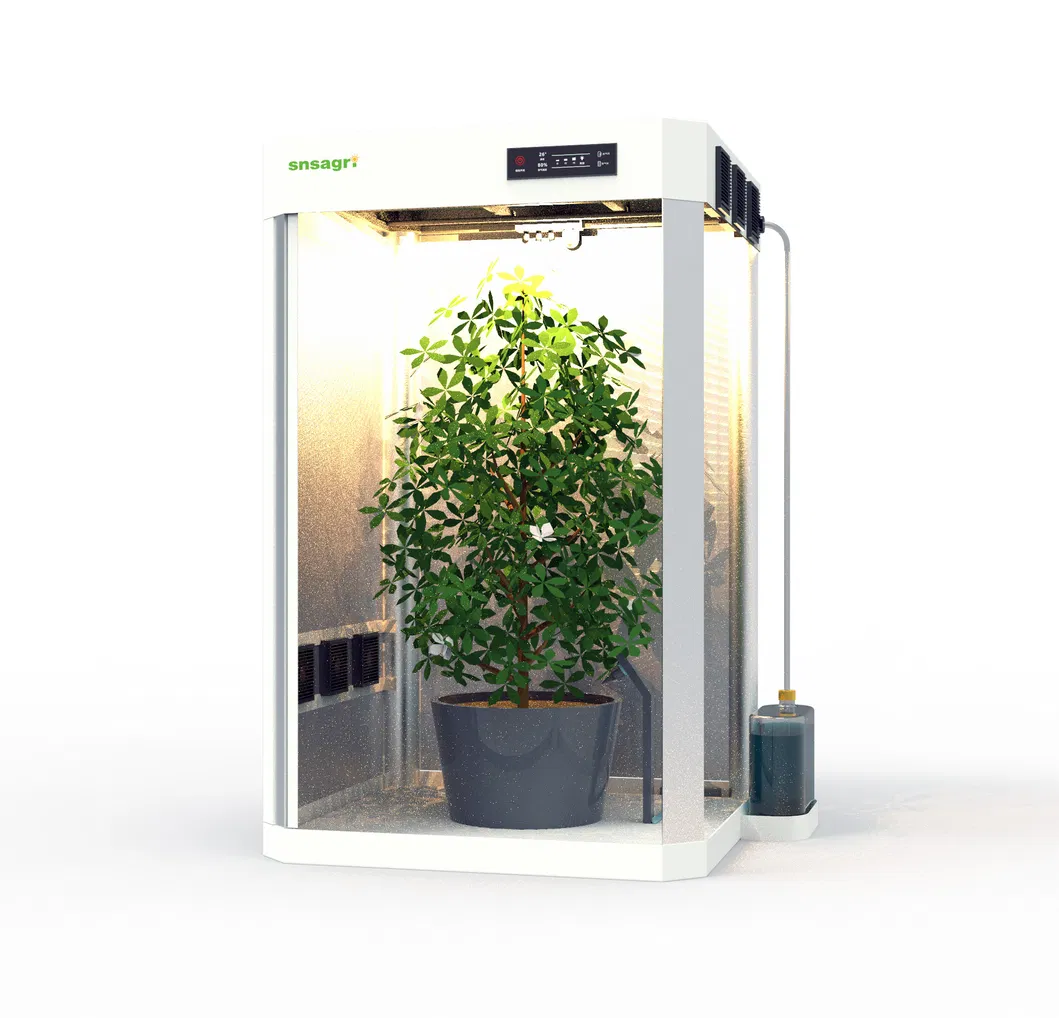 Indoor Gardening Eco Box