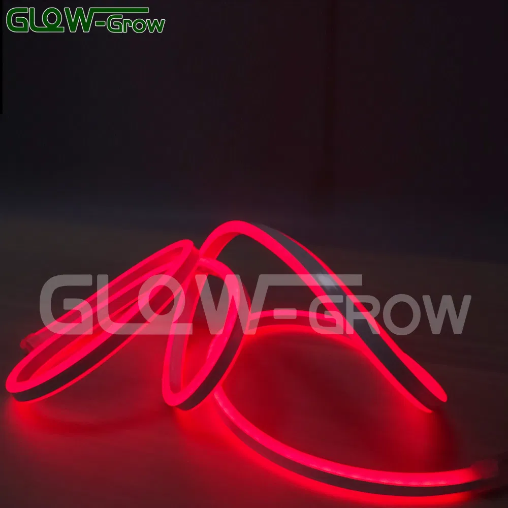 ETL UL IP65 8*16mm 120LEDs/M Flexible Double Side LED Neon Strip Light for Commercial Landscape Building Holiday House Decoration