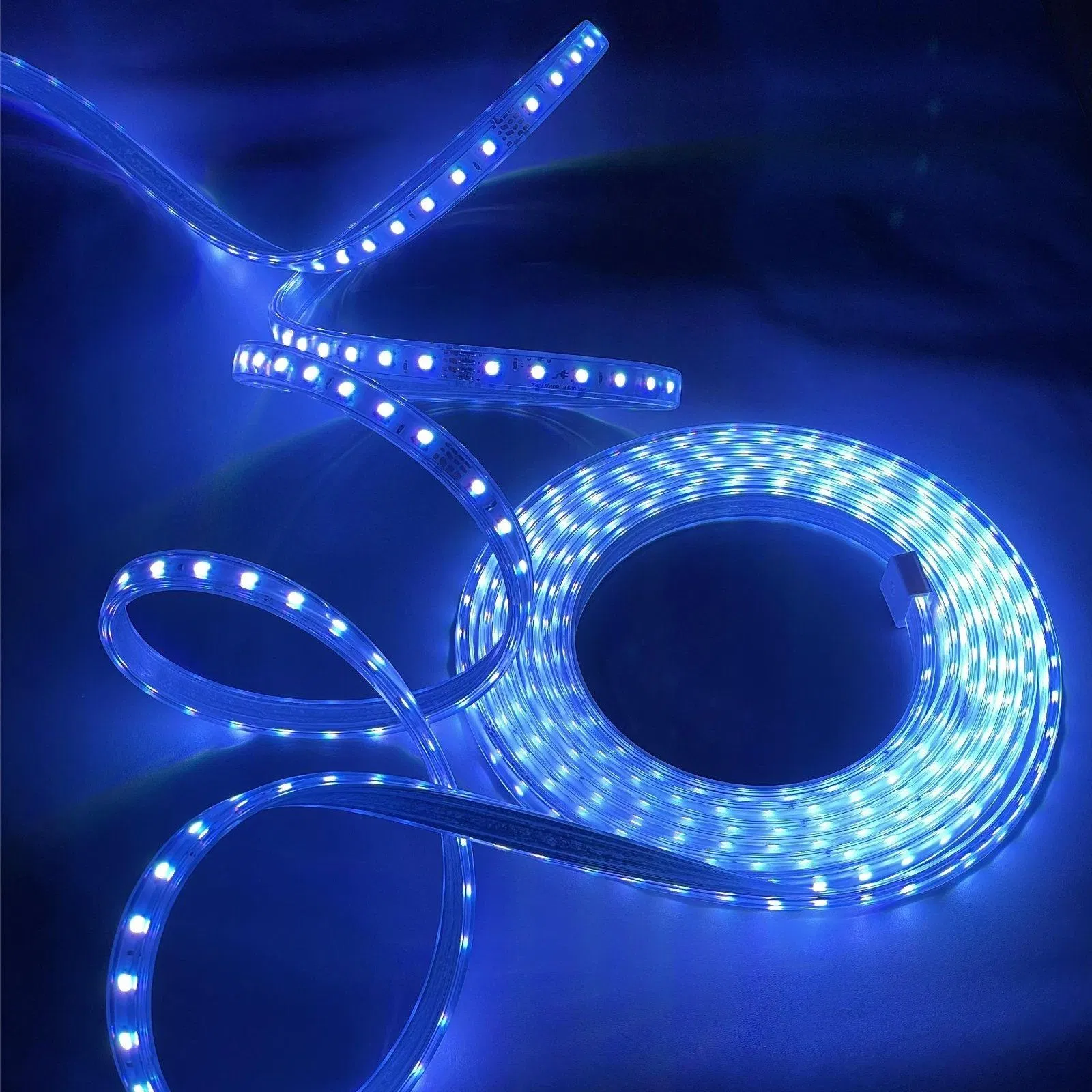 High Voltage Strip SMD5050RGB 60d LED Strip Light
