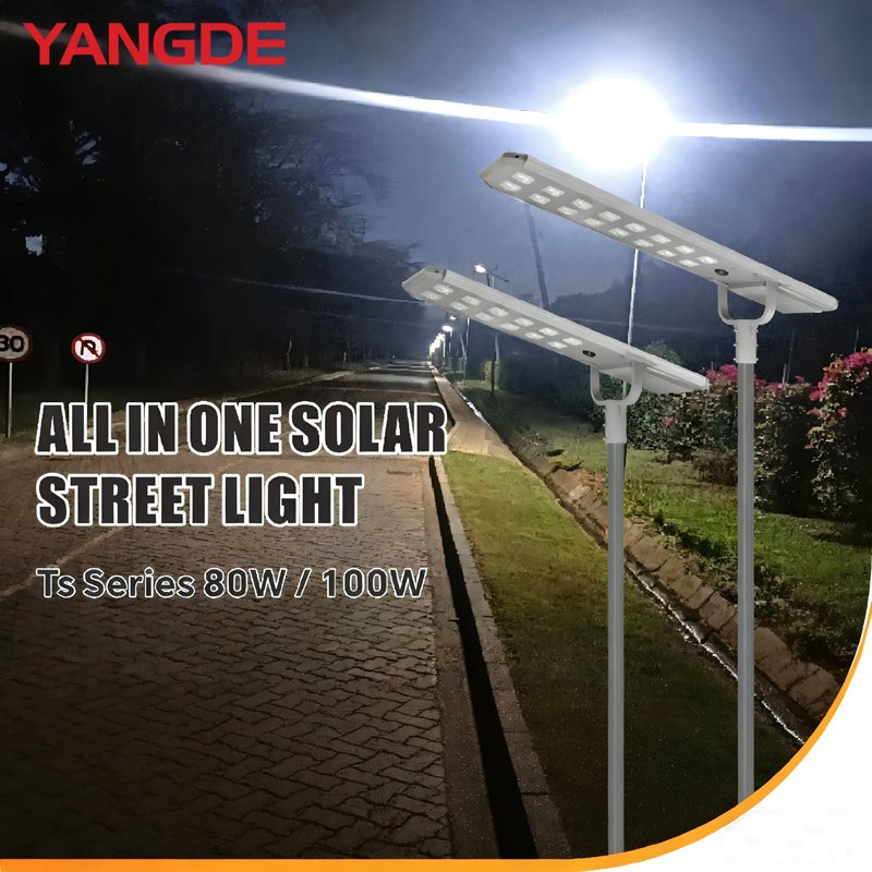 80W-100W Ts Series All-in-One Solar LED Street Light CE