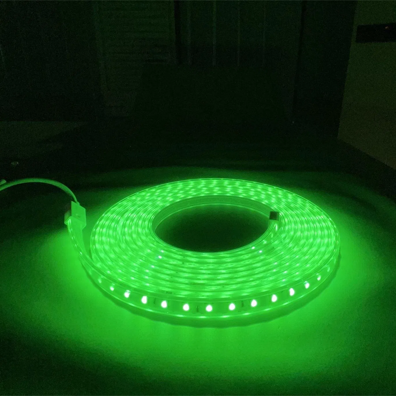 High Voltage Strip SMD5050RGB 60d LED Strip Light