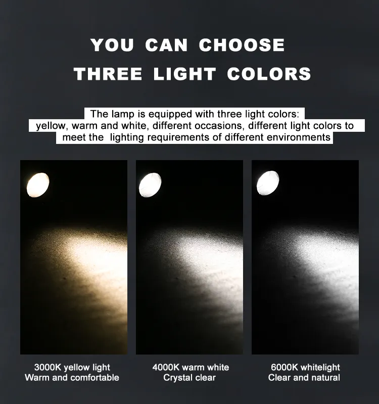 LED Cabinet Light