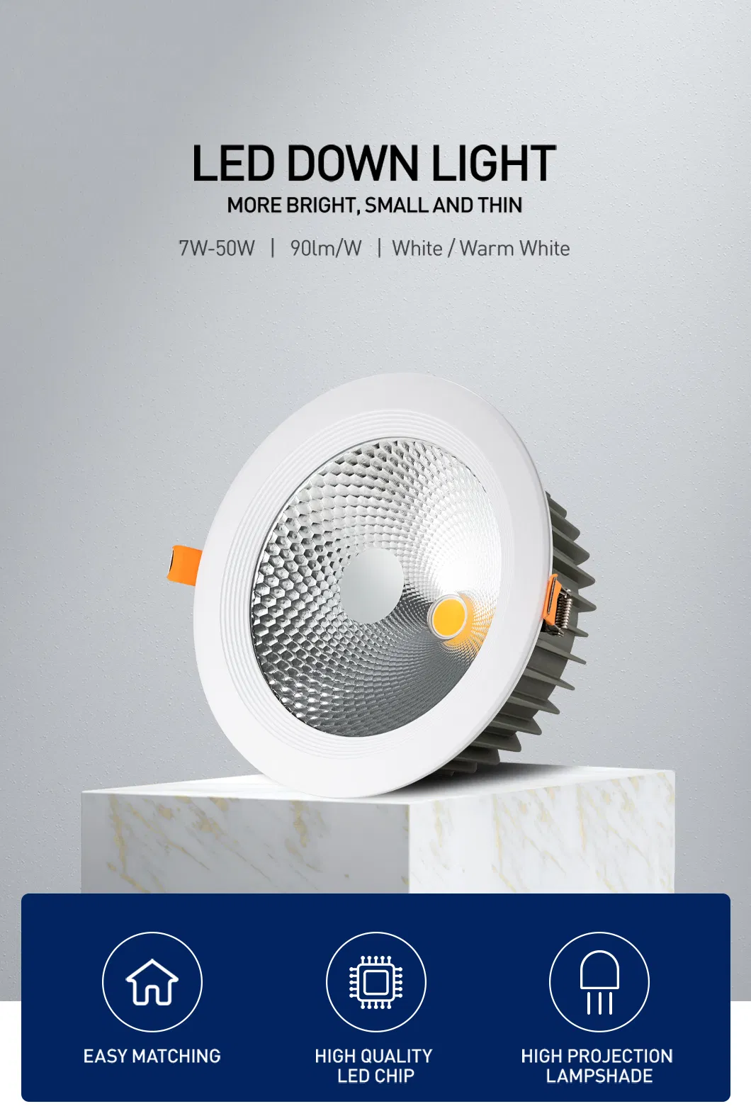 LED Spot Down Light