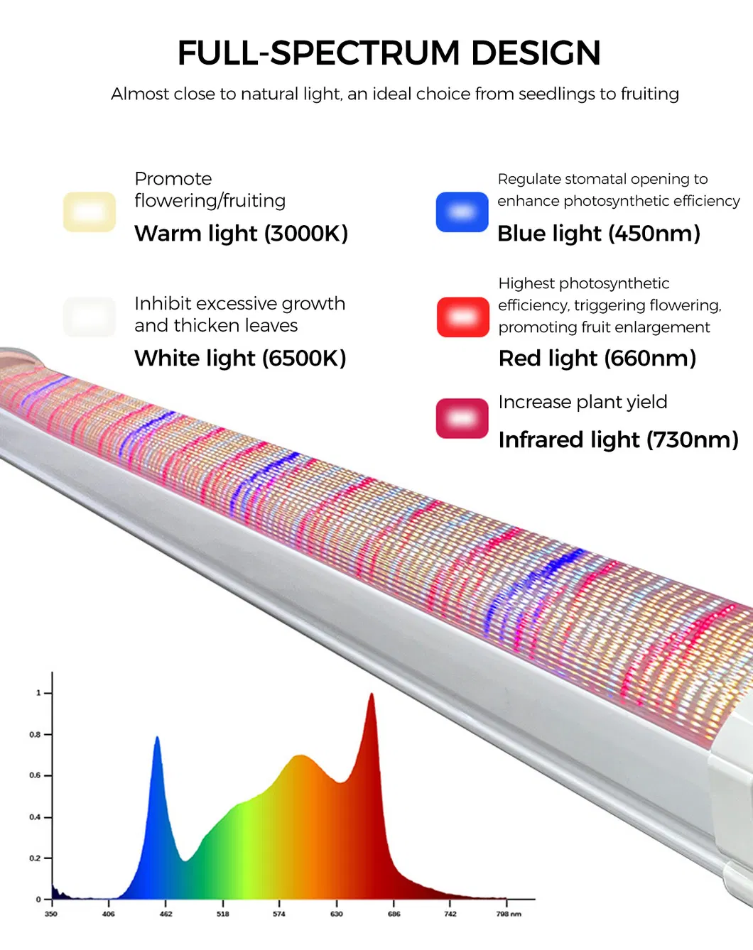 LED Grow Light