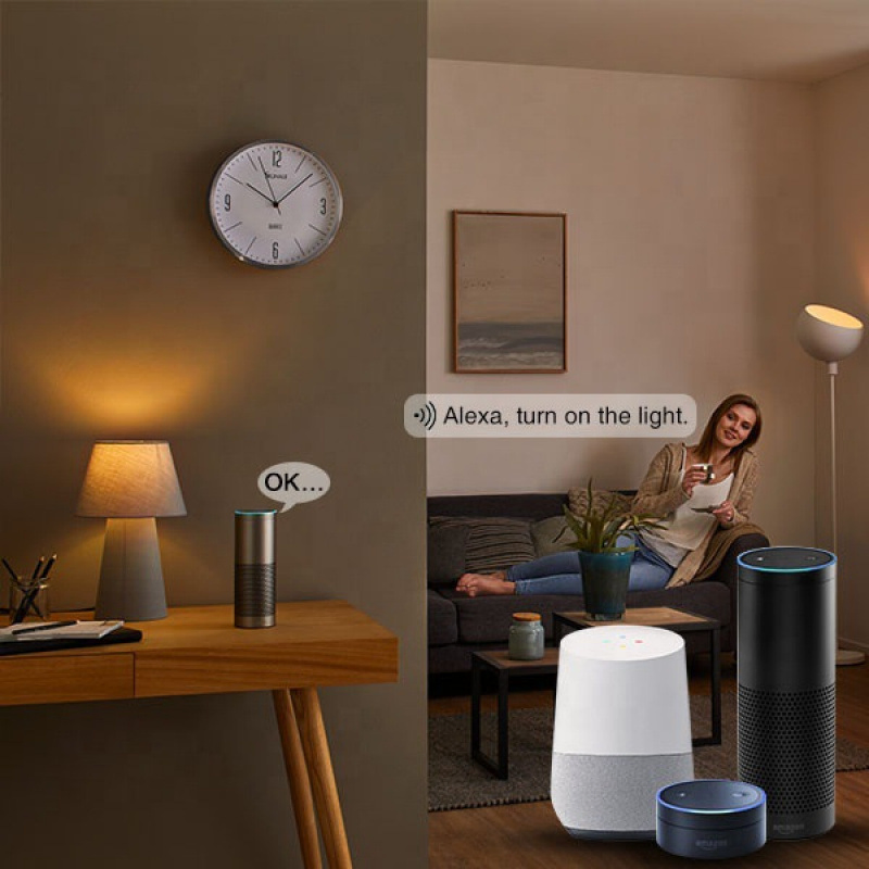 LED Doodle WiFi Smart Bluetooth Bulb: APP-Controlled Doodle RGB Bulb with Color-Changing LED