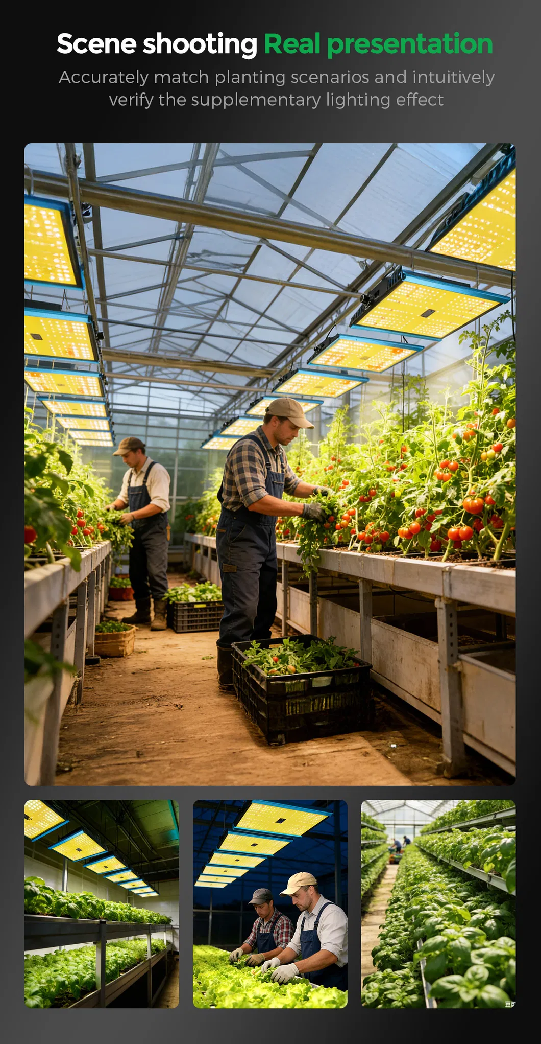 Full Spectrum LED Grow Light System - CY Series