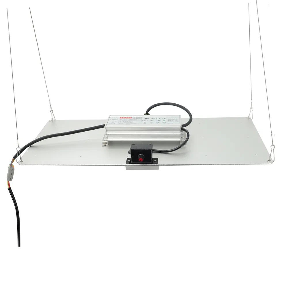 Wholesale Indoor High Power Lamp 300W 600W 640W Full Spectrum Samsung Energy Saving Lamp LED Plant Grow Light