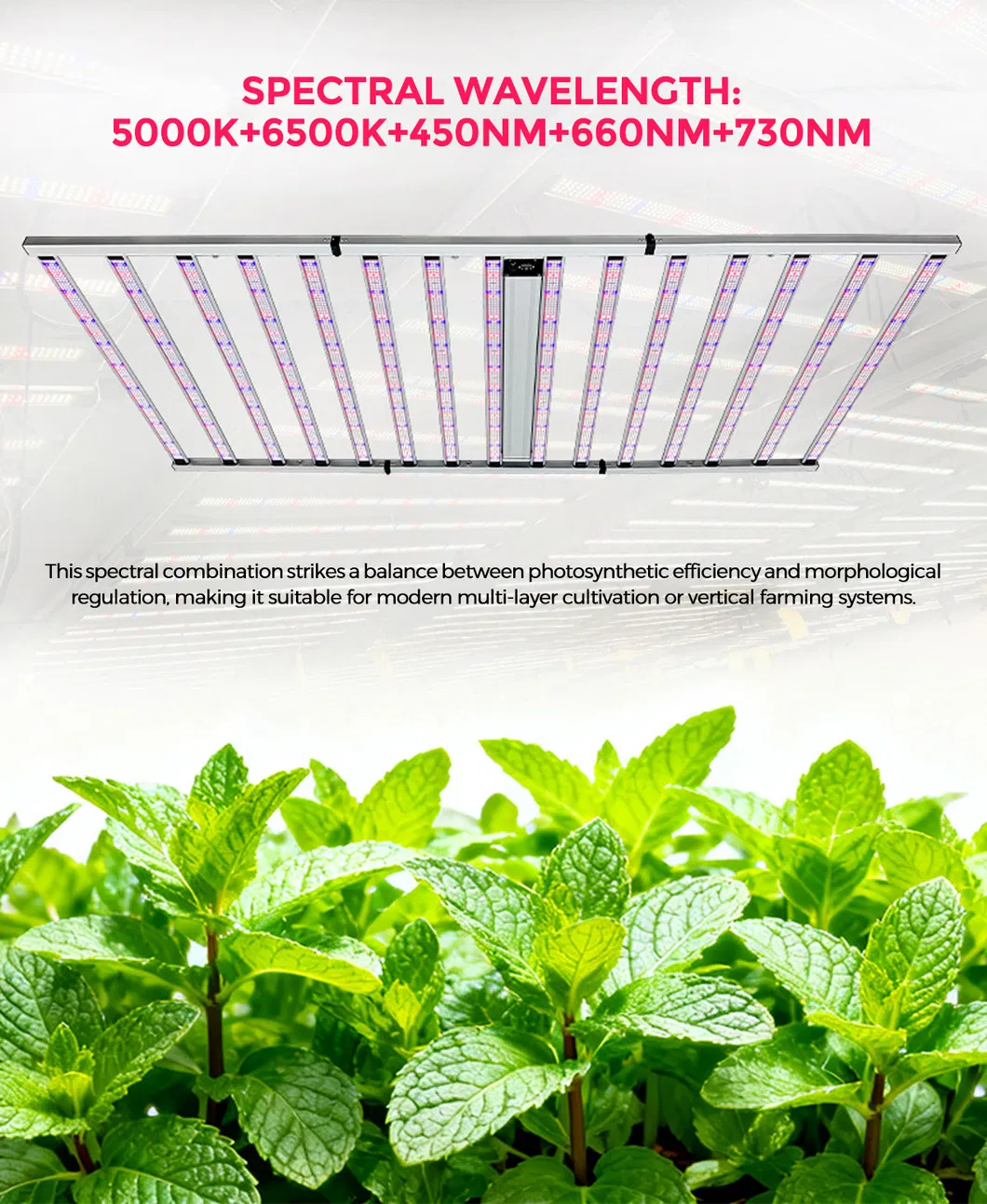 LED Grow Light 3