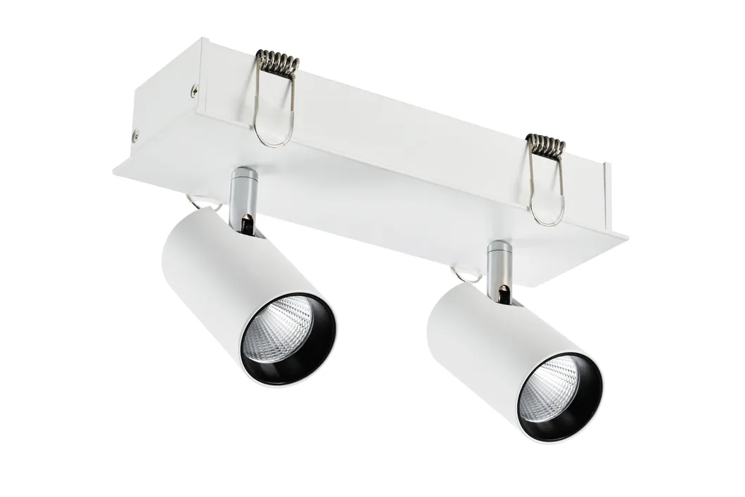 Track Light Detail