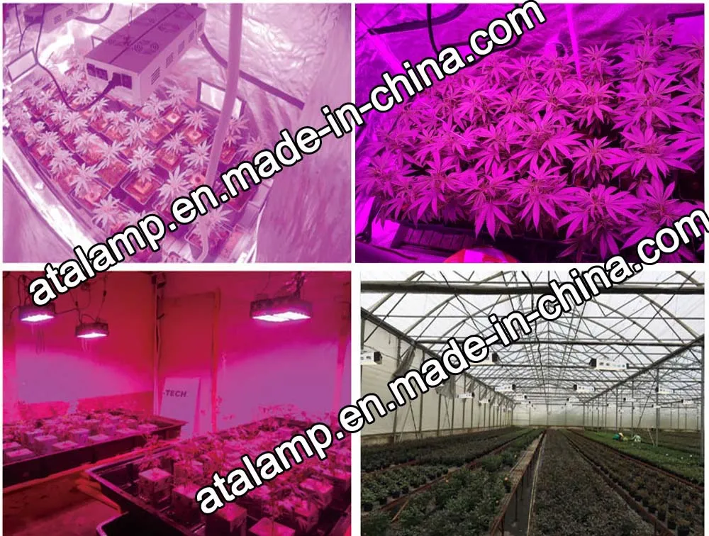 Multi-stage Plant cultivation applications using Grow Lights