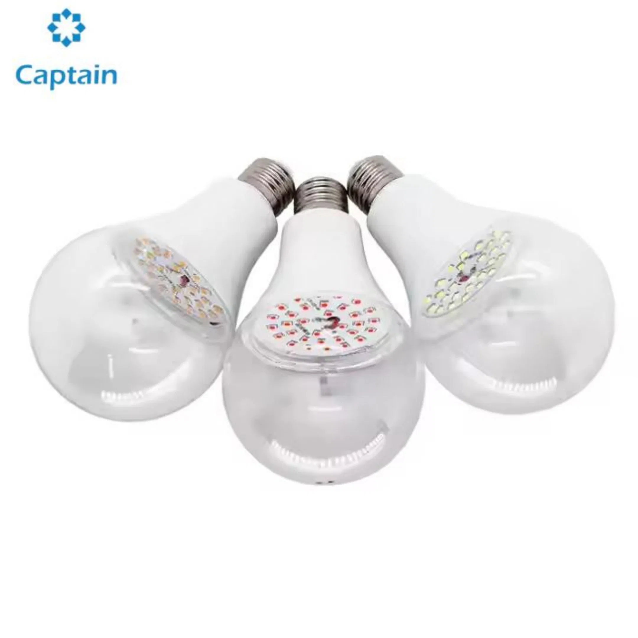 High-Efficiency LED Grow Light for Pitaya Plant Growth