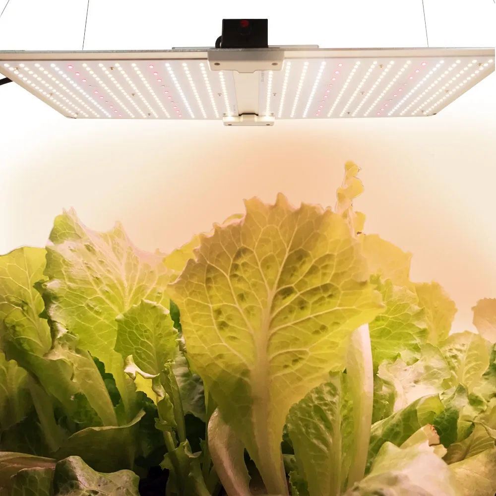 Wholesale Indoor High Power Lamp 300W 600W 640W Full Spectrum Samsung Energy Saving Lamp LED Plant Grow Light