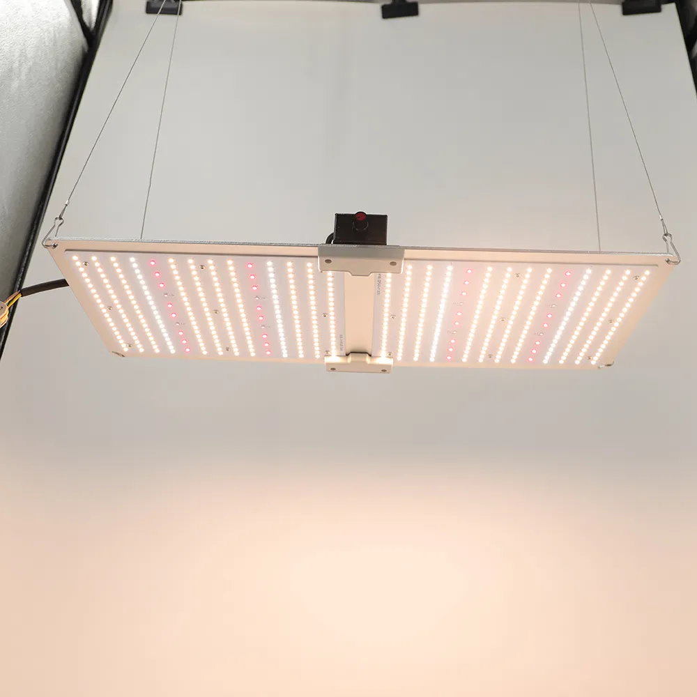 Wholesale Indoor High Power Lamp 300W 600W 640W Full Spectrum Samsung Energy Saving Lamp LED Plant Grow Light