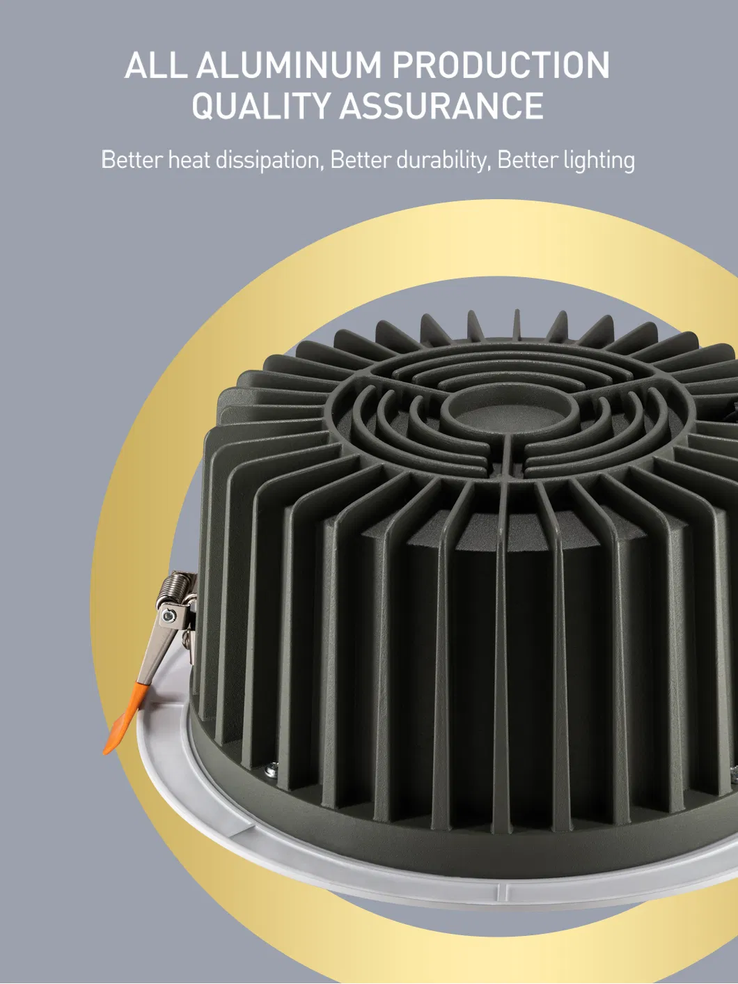 Recessed Downlight