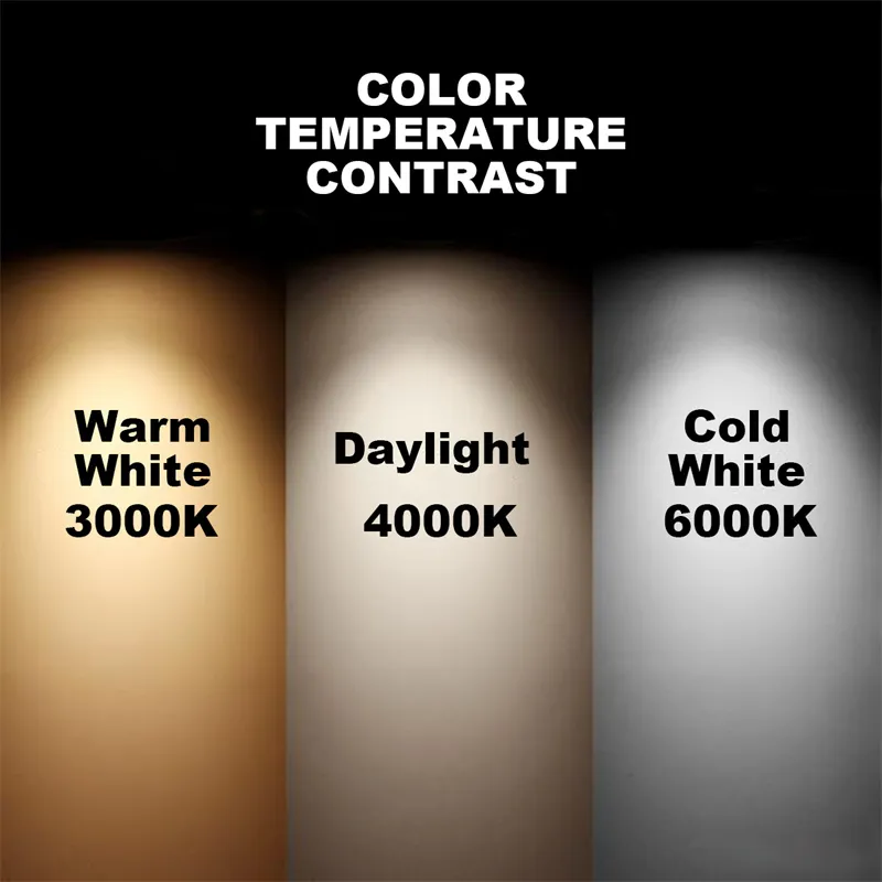 LED Bulb Display 8