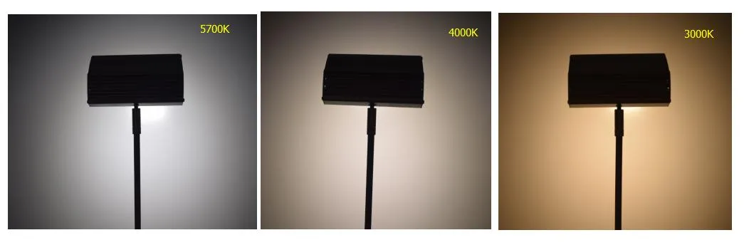 Lighting Effect