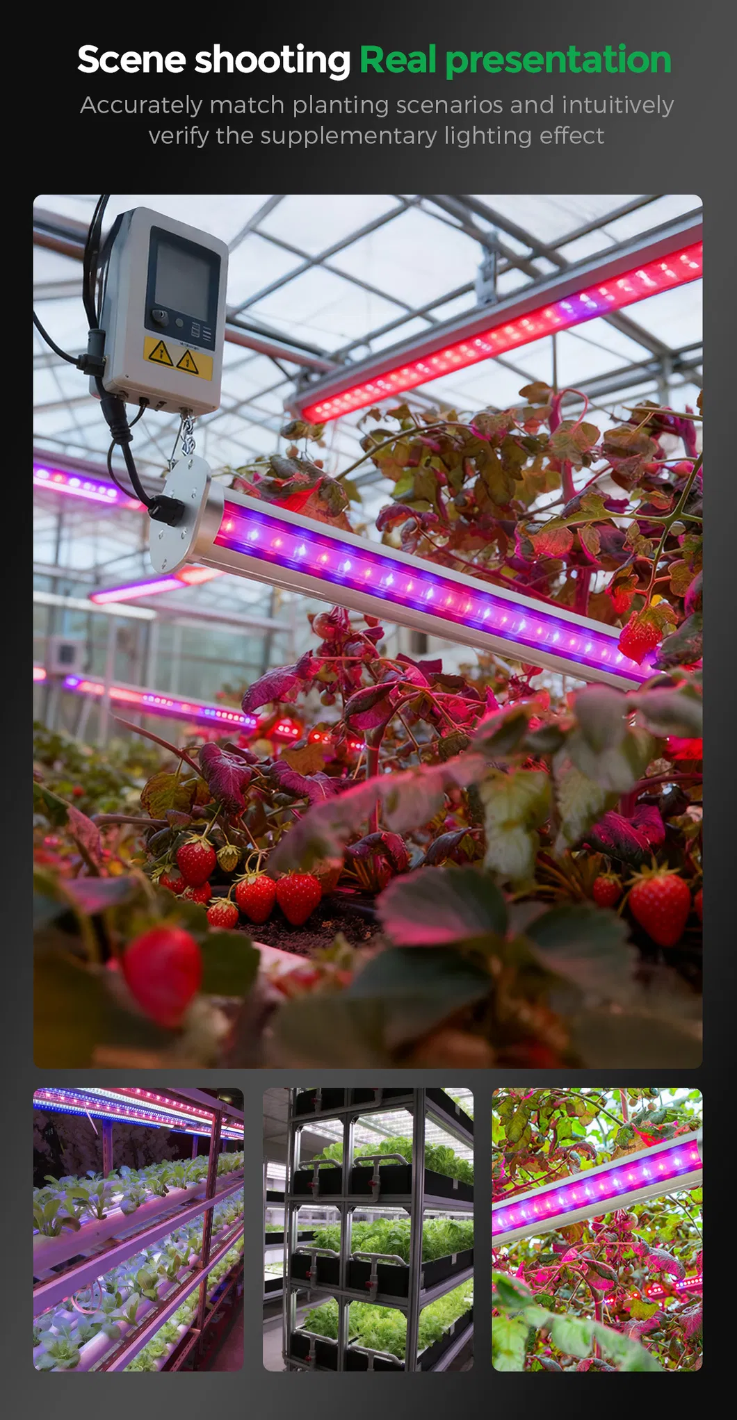 Grow Light Application 2