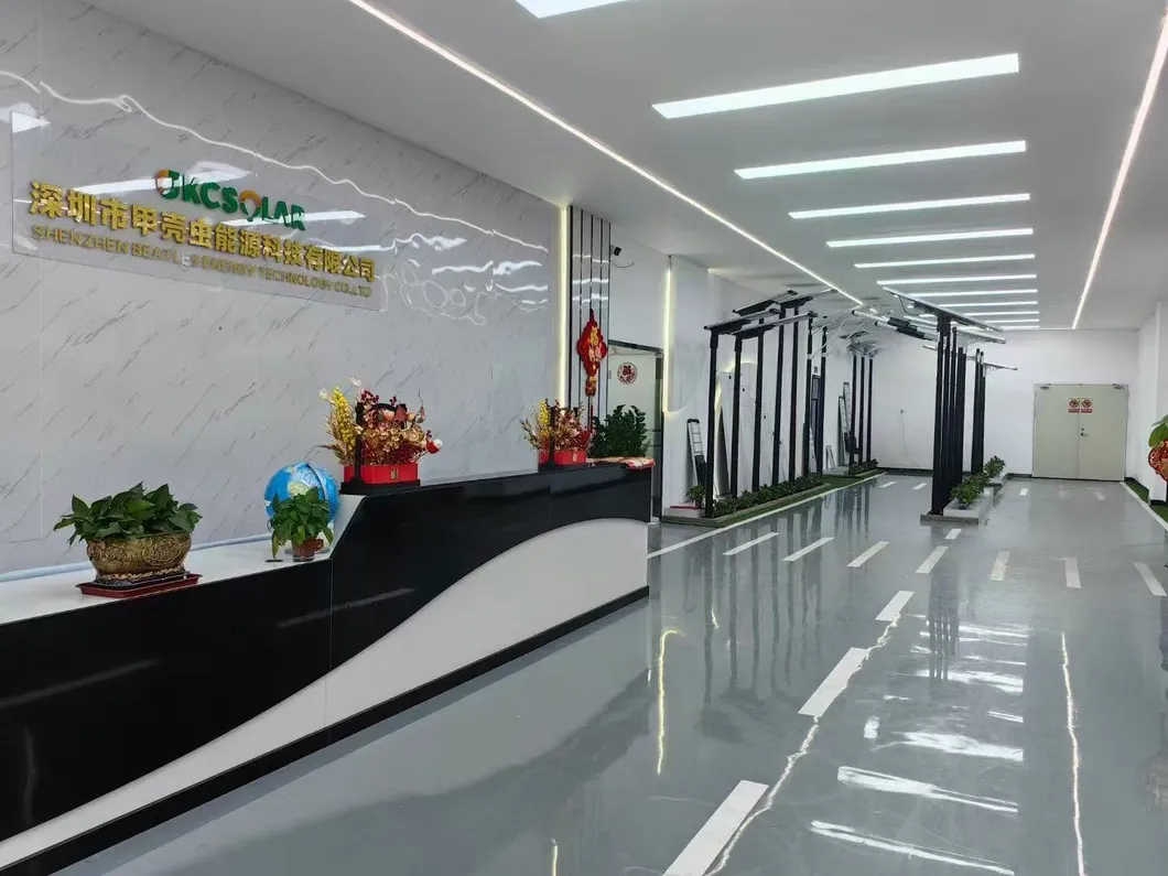 Solar Street Light Overview