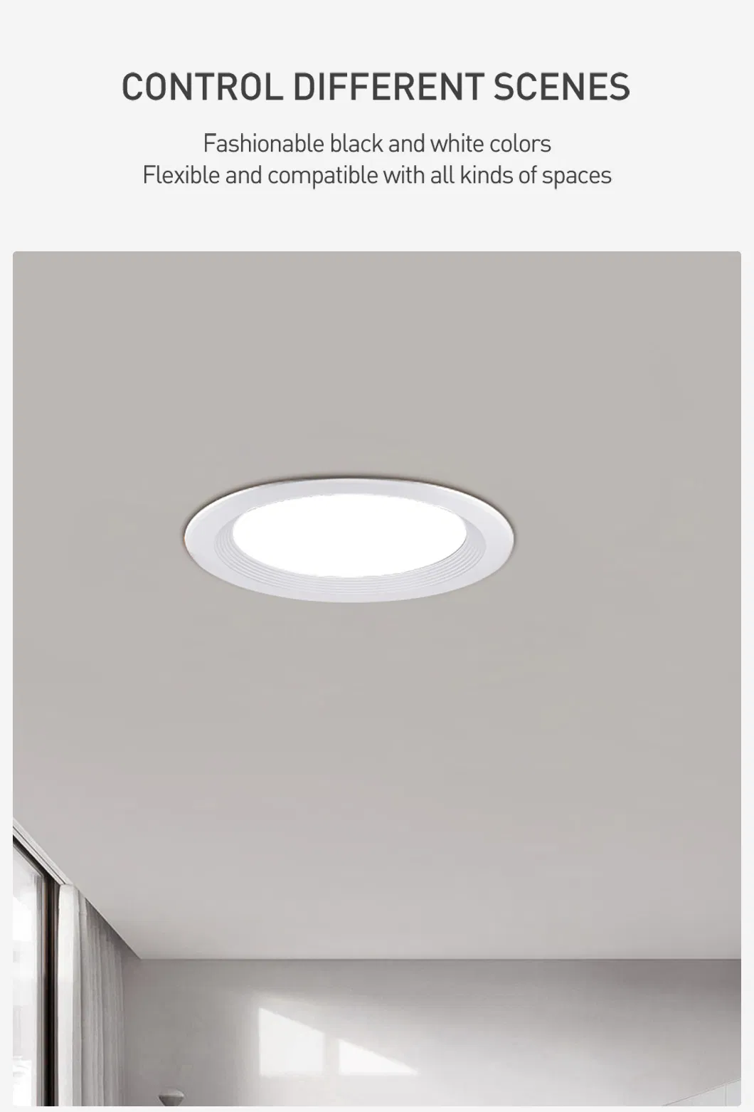 LED Downlight