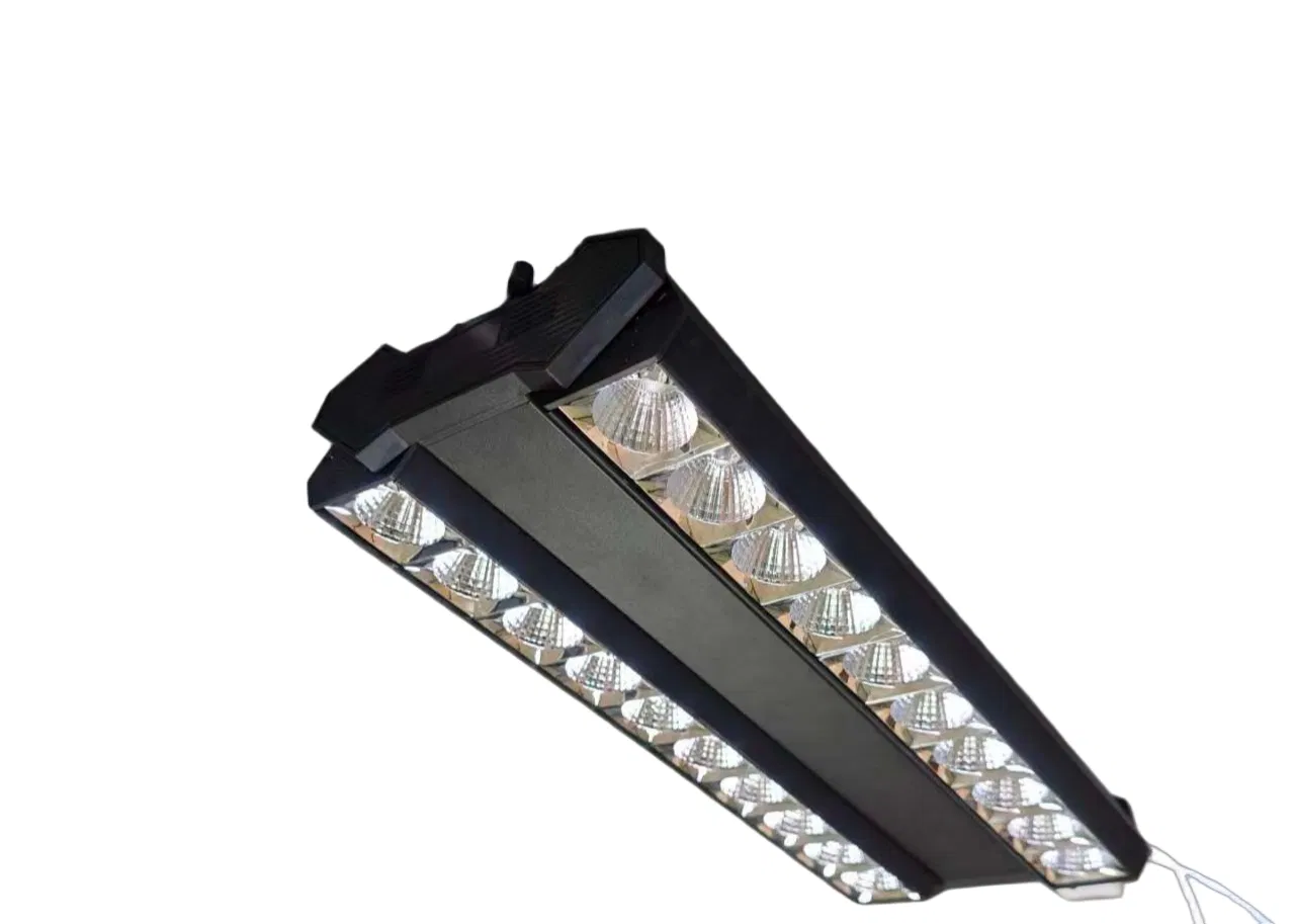 Goeser 3-Wire Premium Aluminium Double Row Adjustable 100W+100W Linear LED Track Light for Supermarkets and Exhibitions Displaying