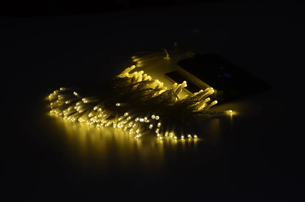 String Lights Performance