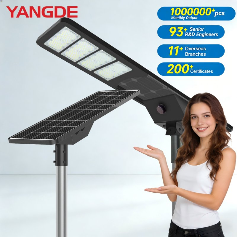 Outdoor Waterproof 100W Integrated Solar LED IP67 Garden Street Light with Good Pirce