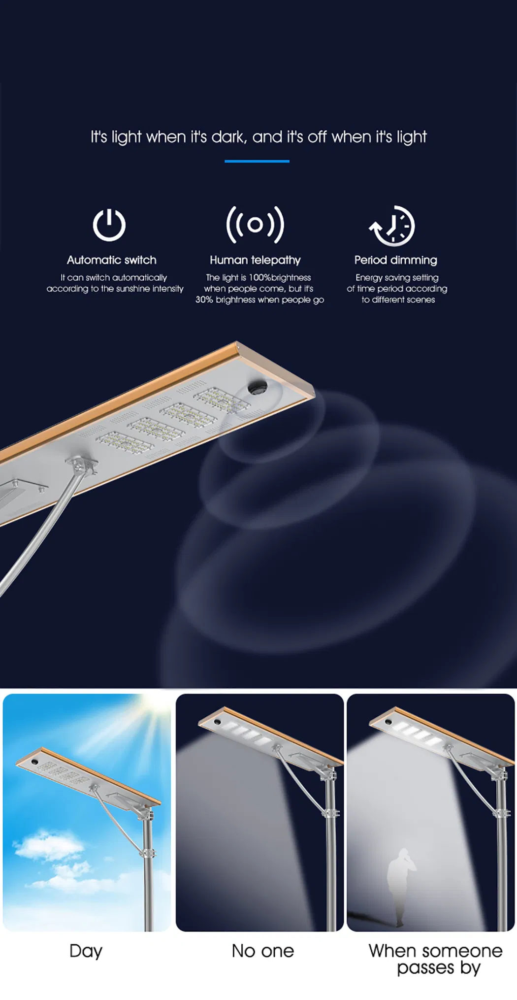 Solar Light Detail 2