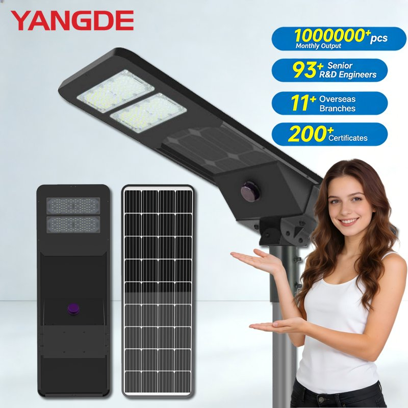 Outdoor Waterproof 100W Integrated Solar LED IP67 Garden Street Light with Good Pirce
