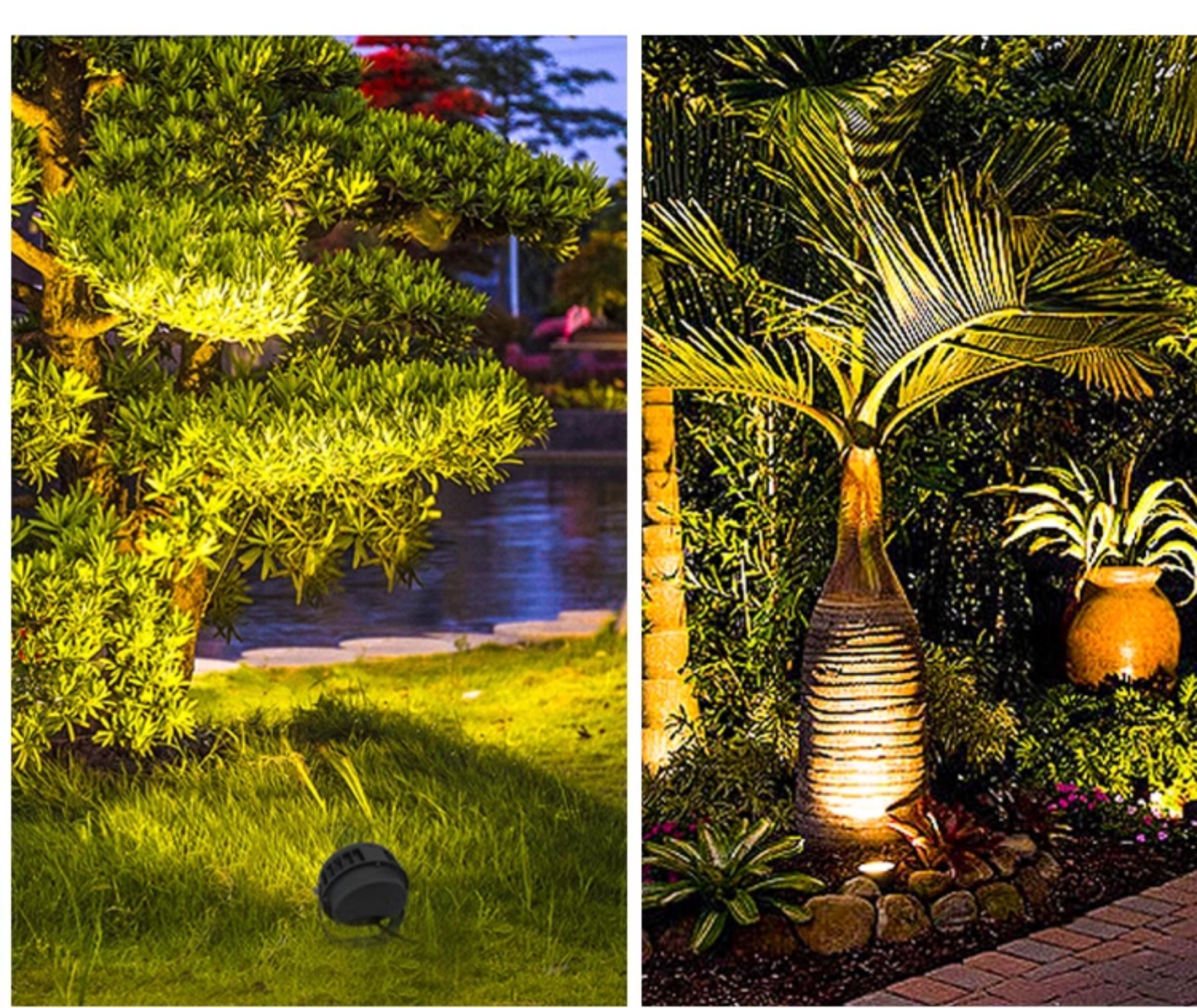 Solar LED Lighting