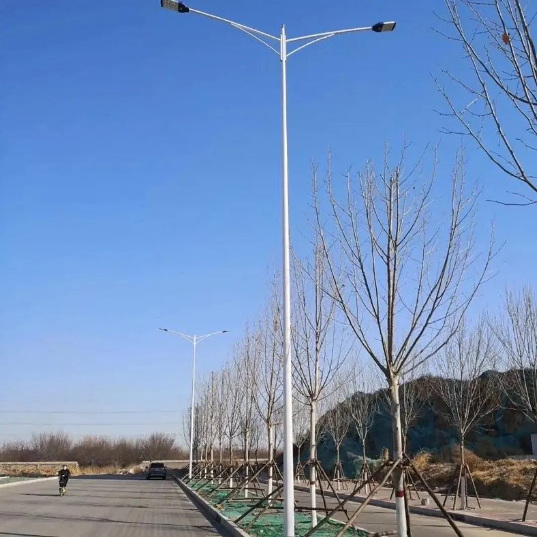 60W Eco Lampsystem Great Park Pathways All in One Solar Street Light