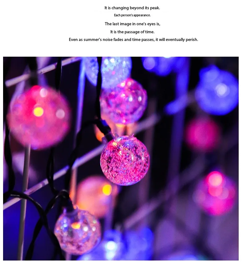 LED Solar Decorative Light 5