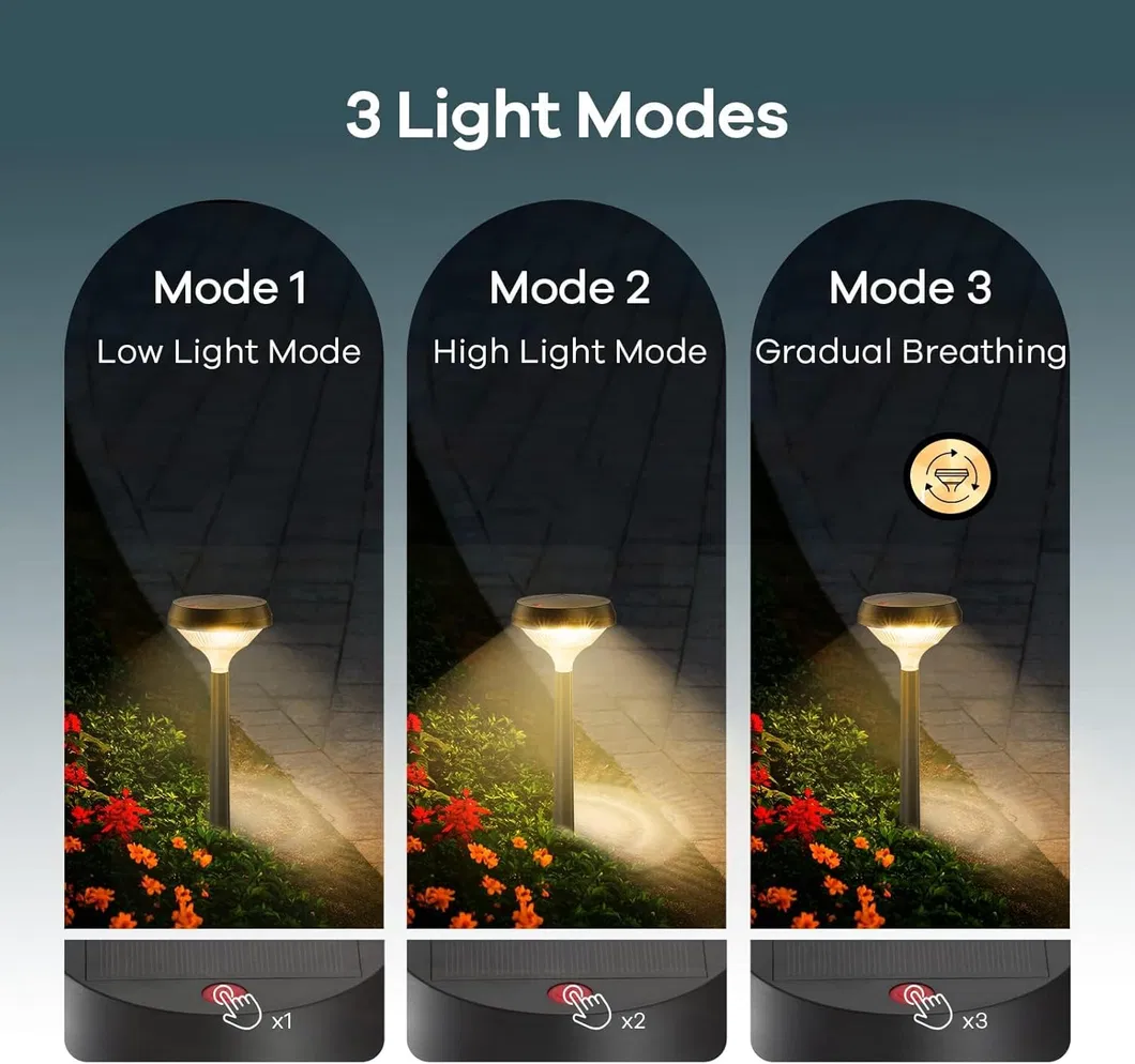 Solar Pathway Lights Detail 2