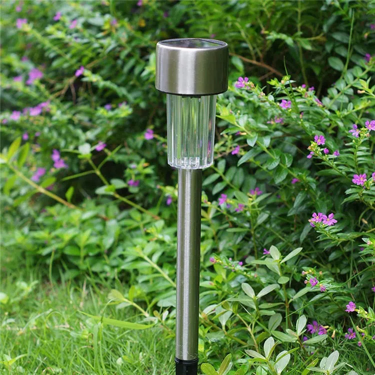 Outdoor Scene