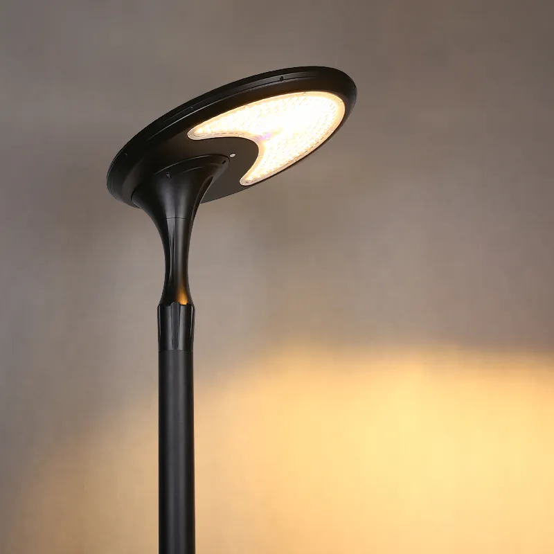 Detailed Light Photo 2