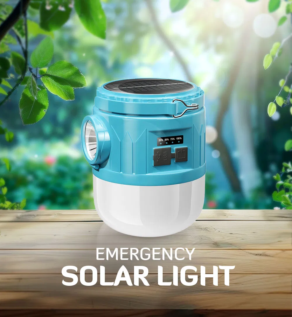 Solar Light Detail 1